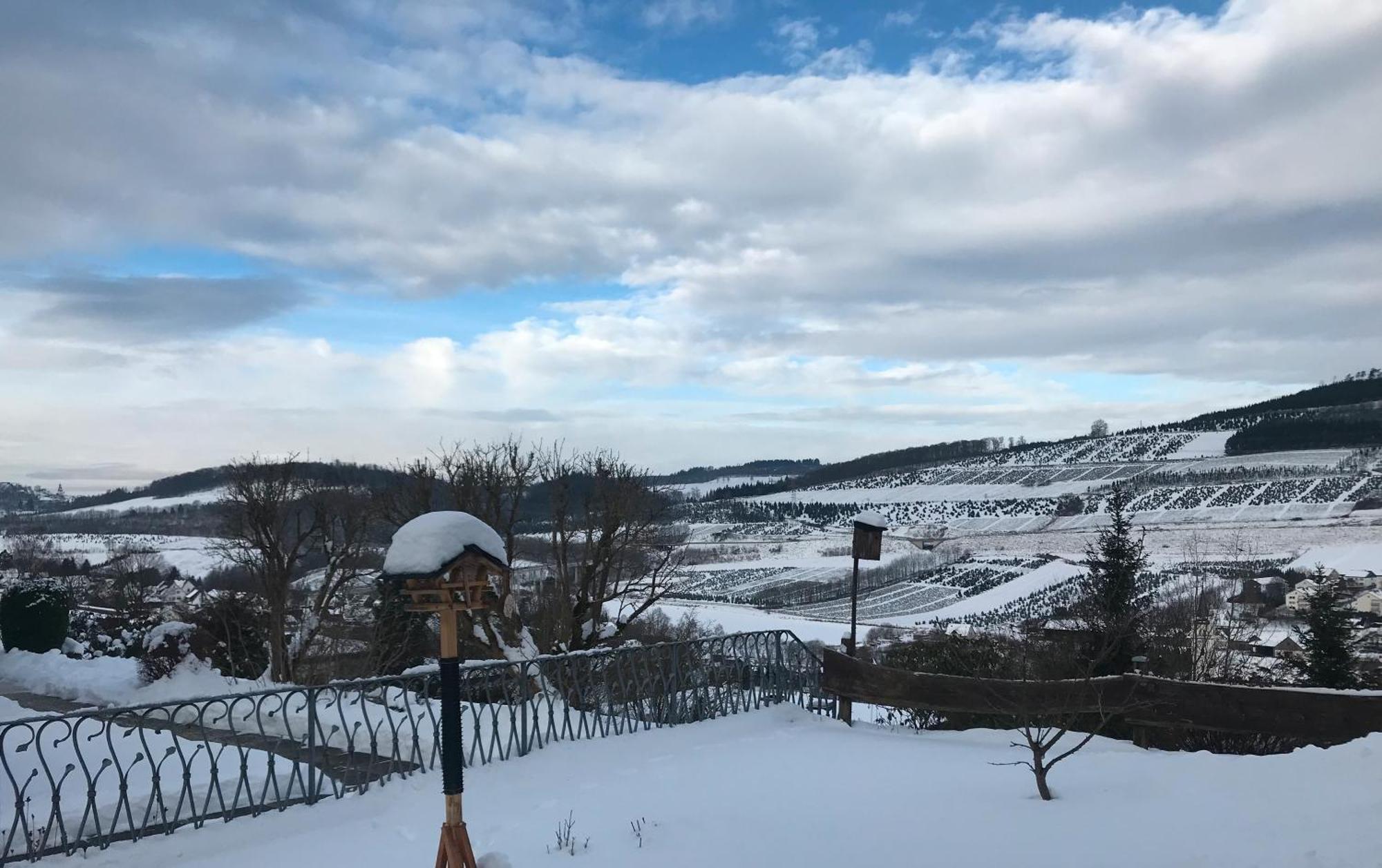 Fewo Oase Ruhrtalblick Bestwig Bagian luar foto